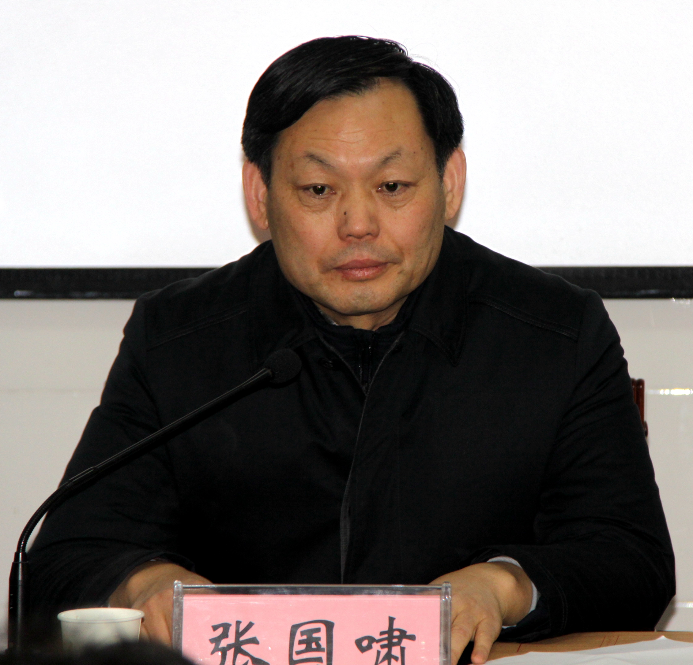 漯河市委组织部副部长张国啸主持会议